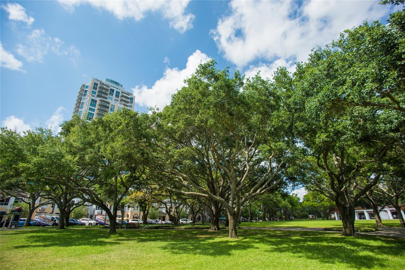 400 BEACH DR NE #2605, ST PETERSBURG, FL, 33701