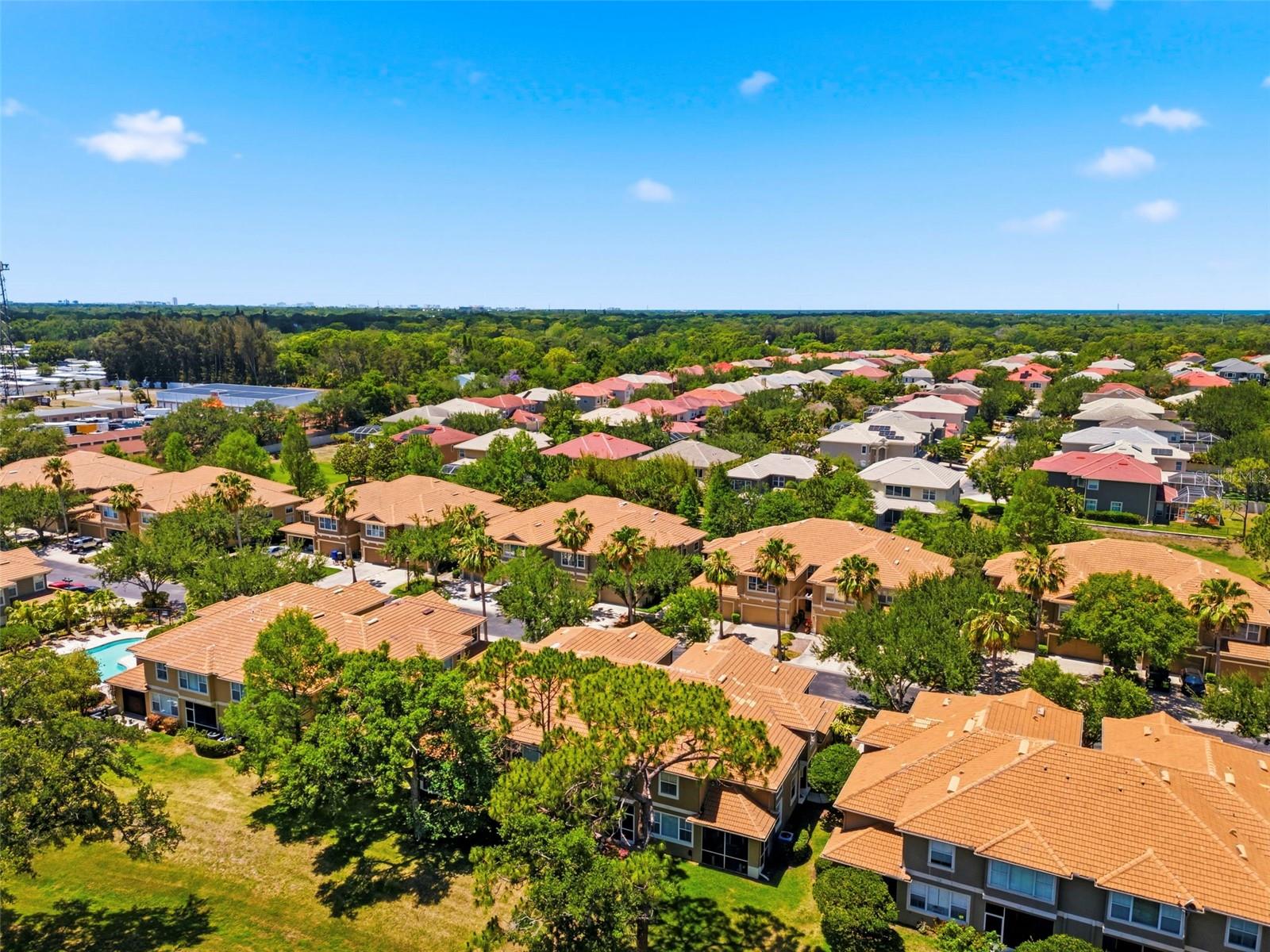 3369 COVERED BRIDGE DR W, DUNEDIN, FL, 34698