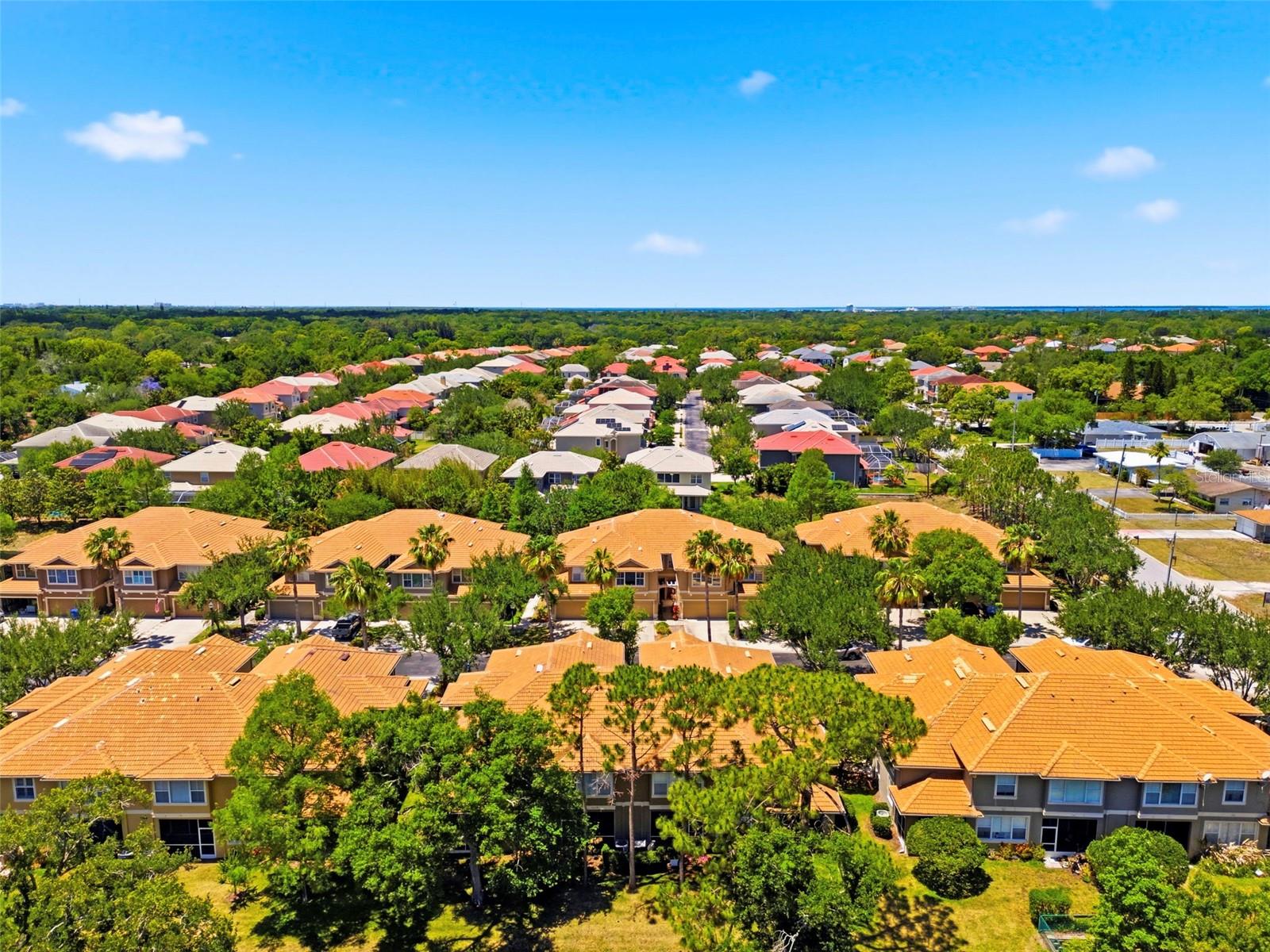 3369 COVERED BRIDGE DR W, DUNEDIN, FL, 34698