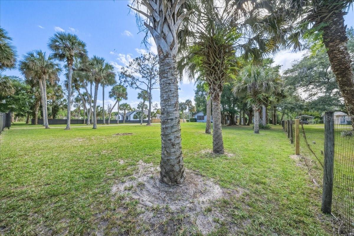 4230 TANGERINE ST, COCOA, FL, 32926