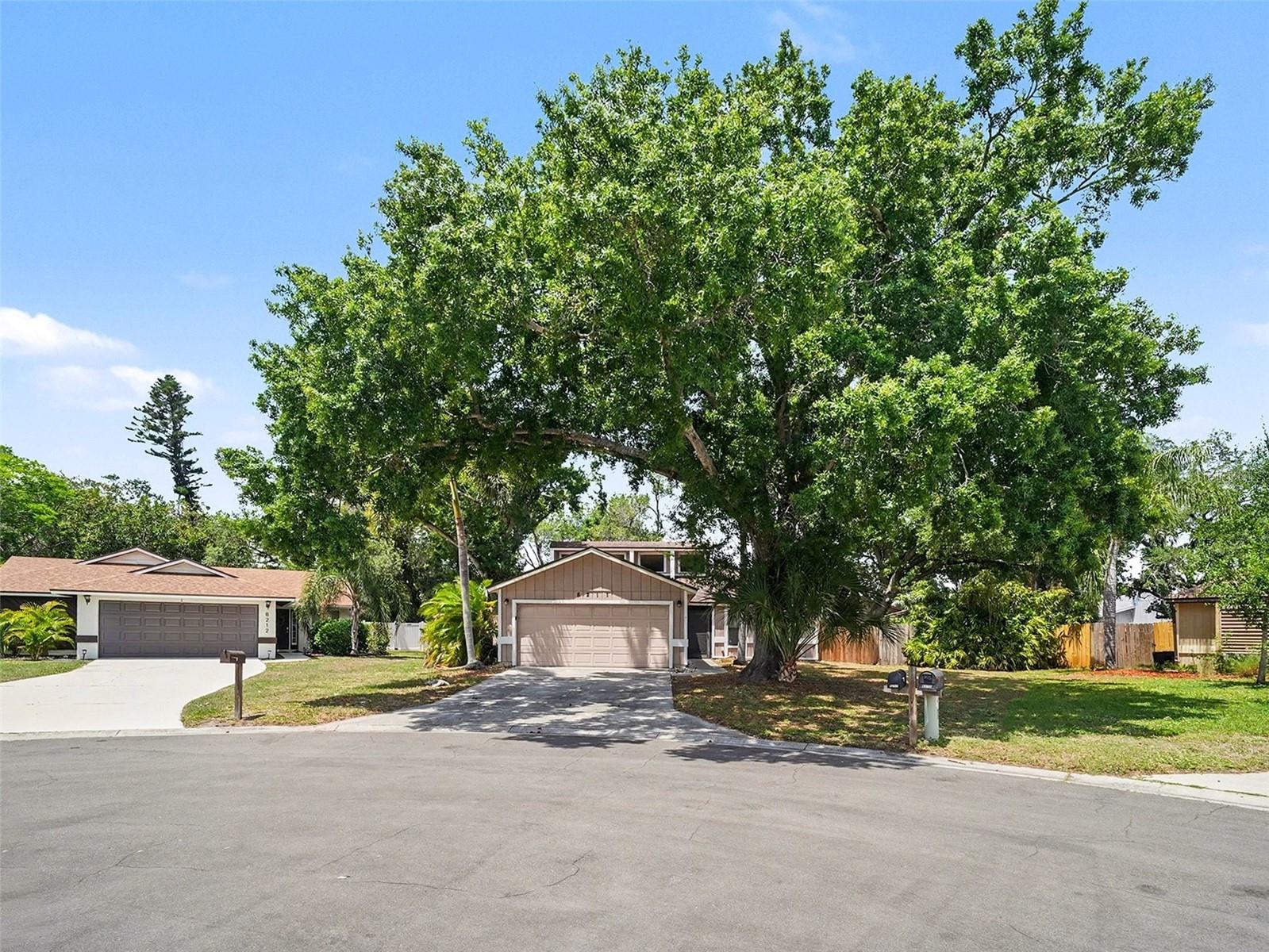 8211 COUNTRY OAKS CT, SARASOTA, FL, 34243