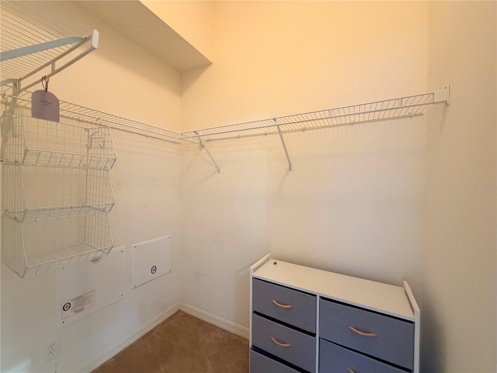 4212 BISMARCK PALM DR, TAMPA, FL, 33610