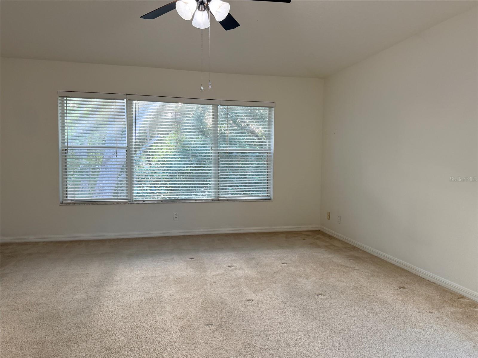 4212 BISMARCK PALM DR, TAMPA, FL, 33610