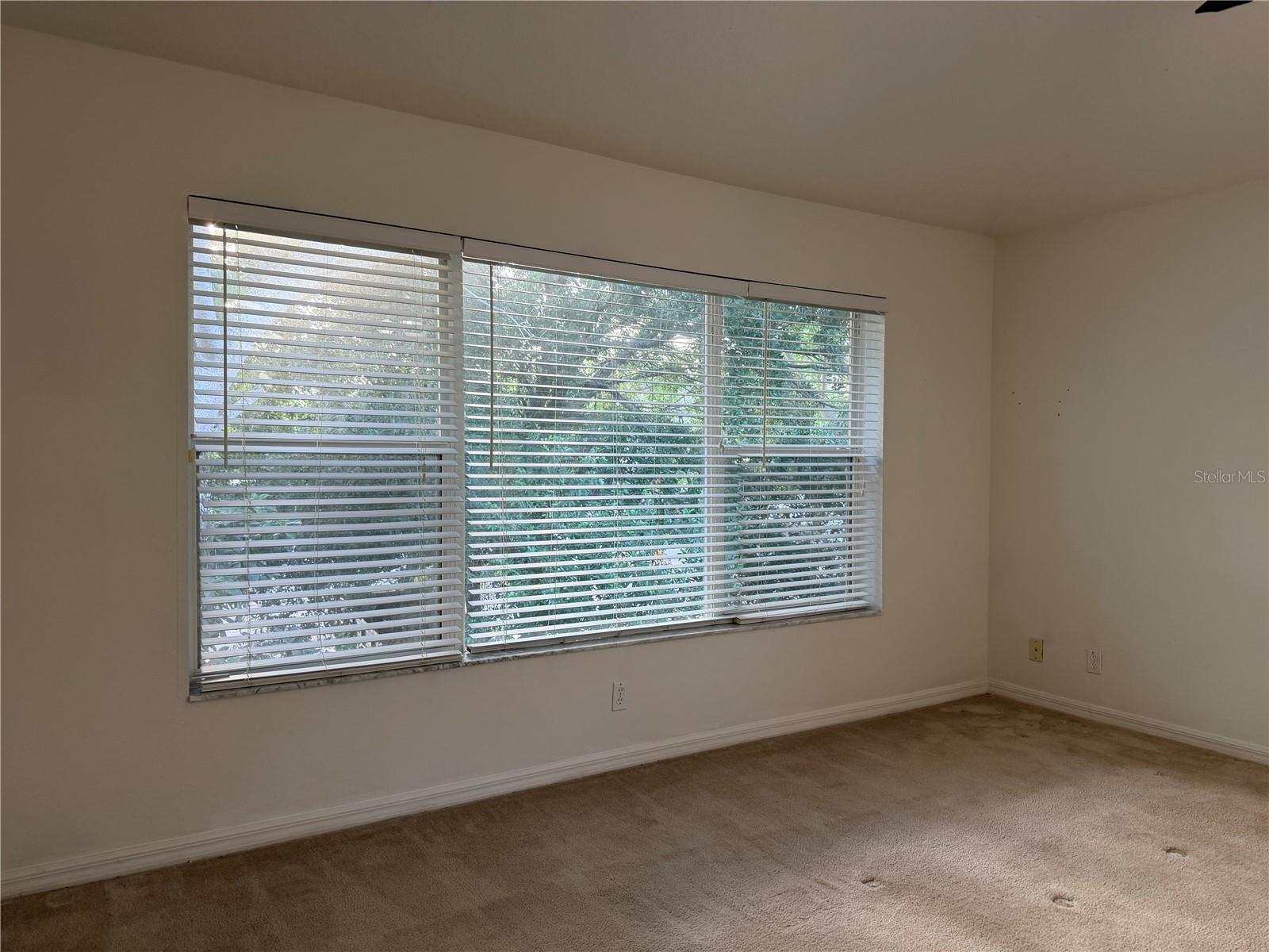 4212 BISMARCK PALM DR, TAMPA, FL, 33610