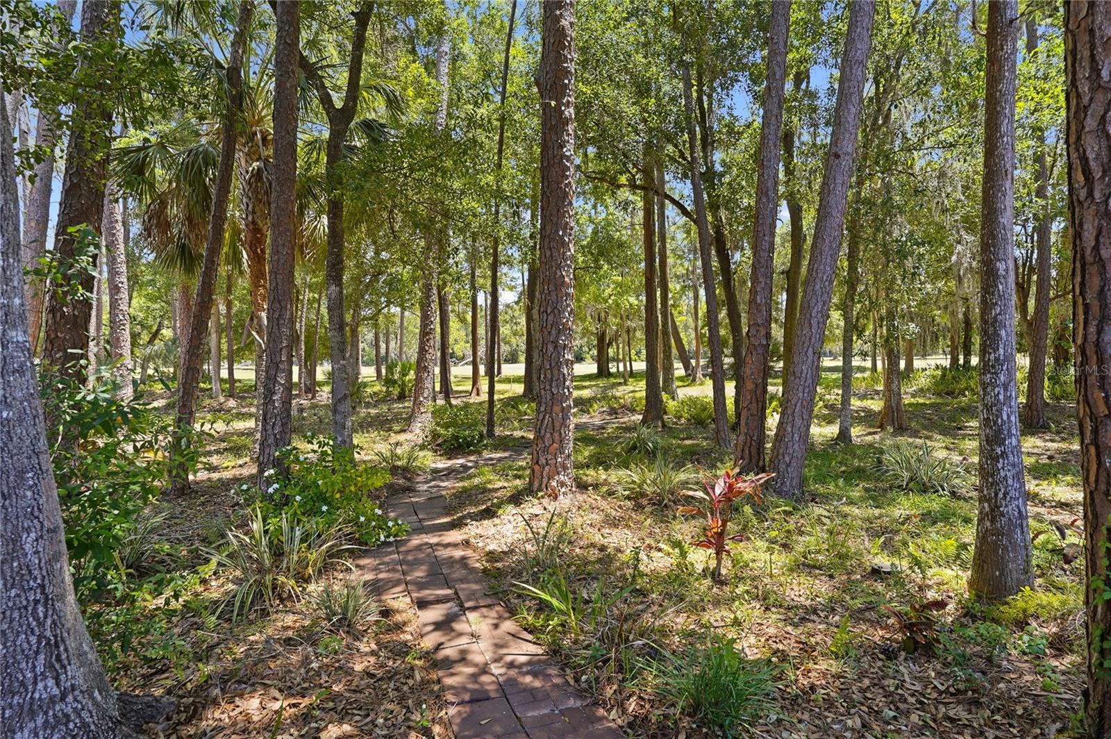 3071 BOLT DR, PALM HARBOR, FL, 34685