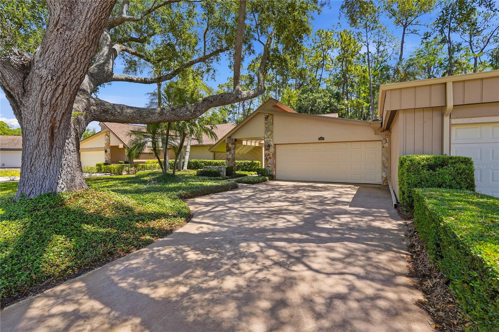 3071 BOLT DR, PALM HARBOR, FL, 34685
