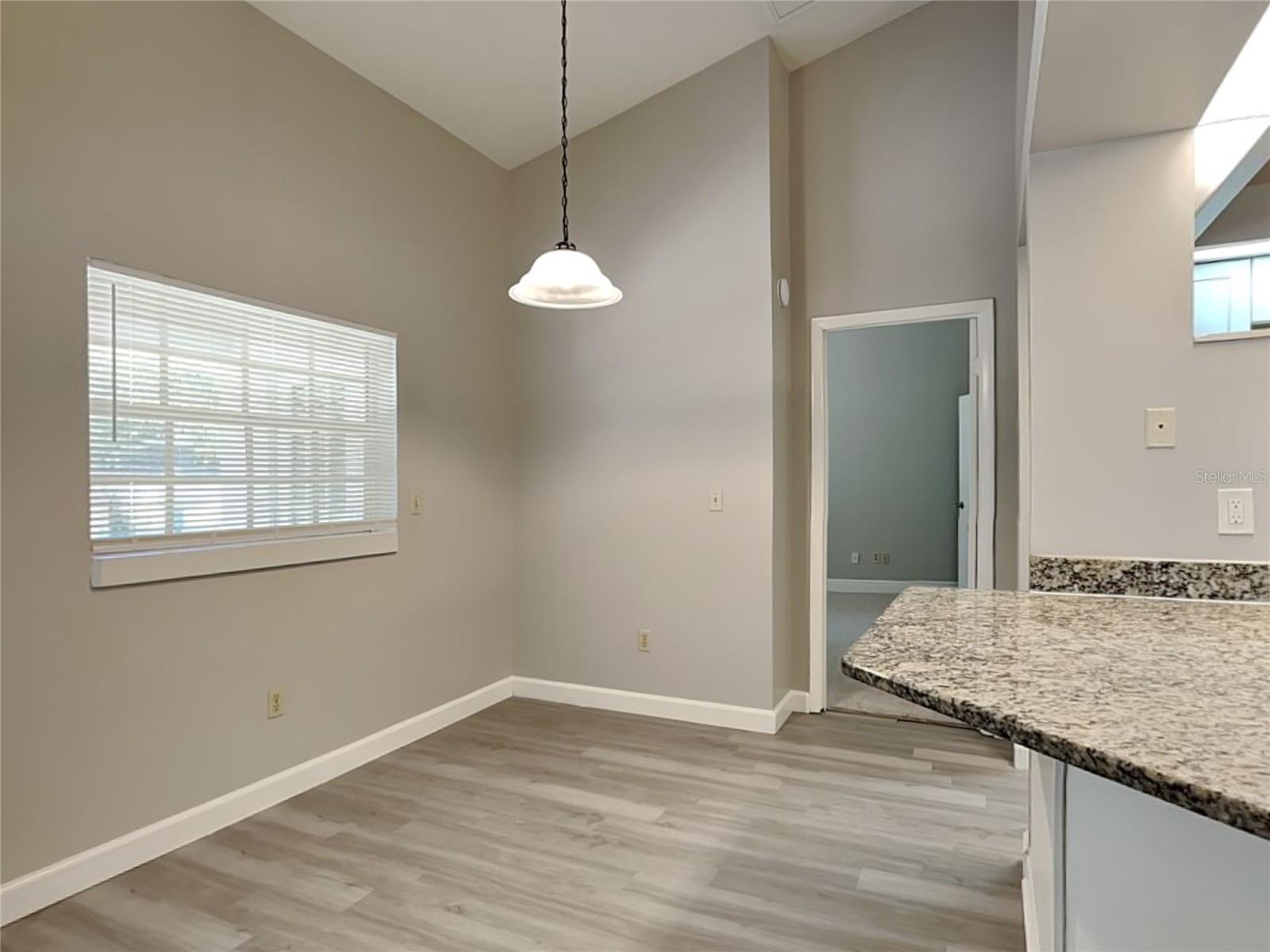 UNPLATTED, PLANT CITY, FL, 33565