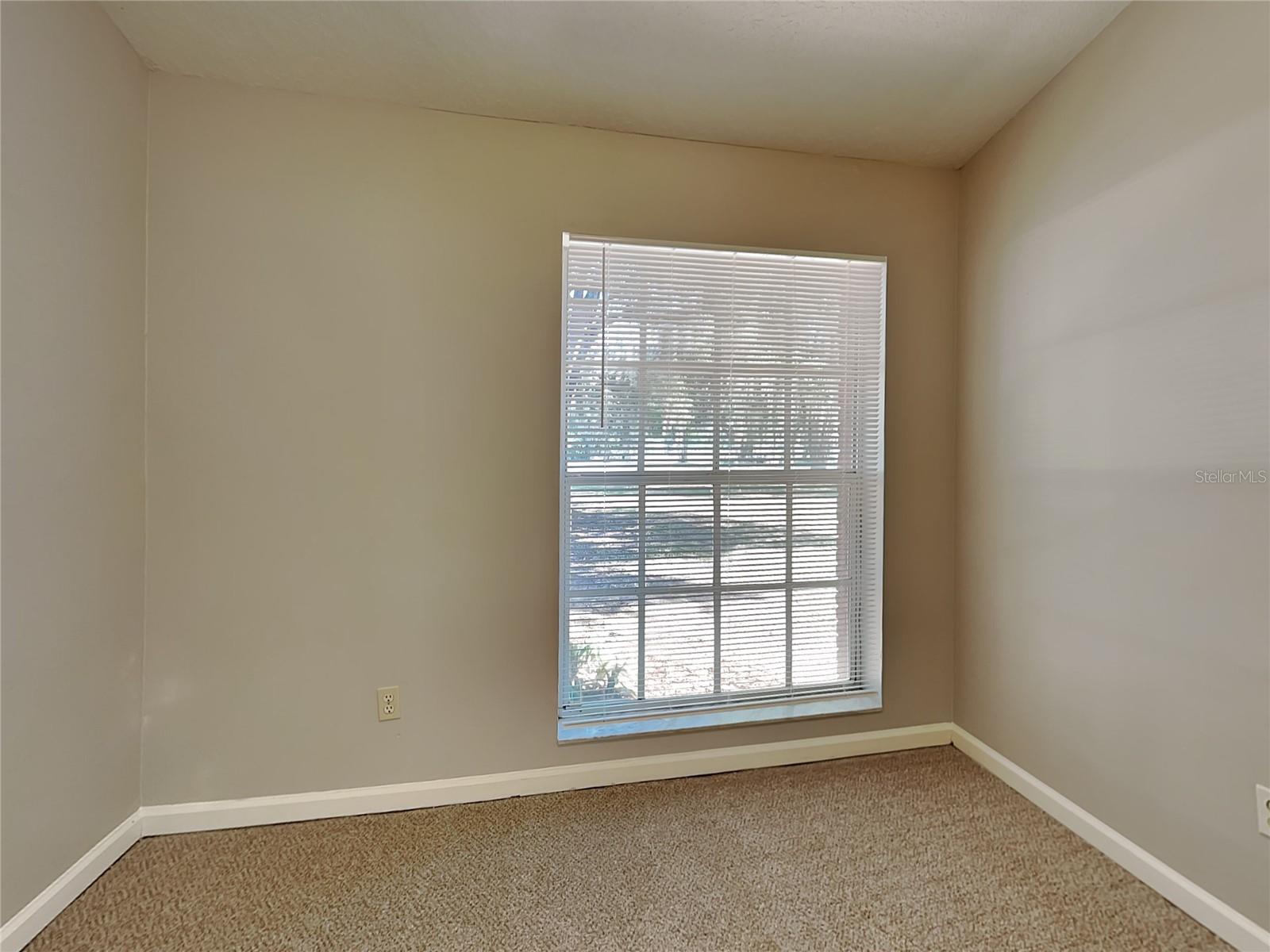 UNPLATTED, PLANT CITY, FL, 33565