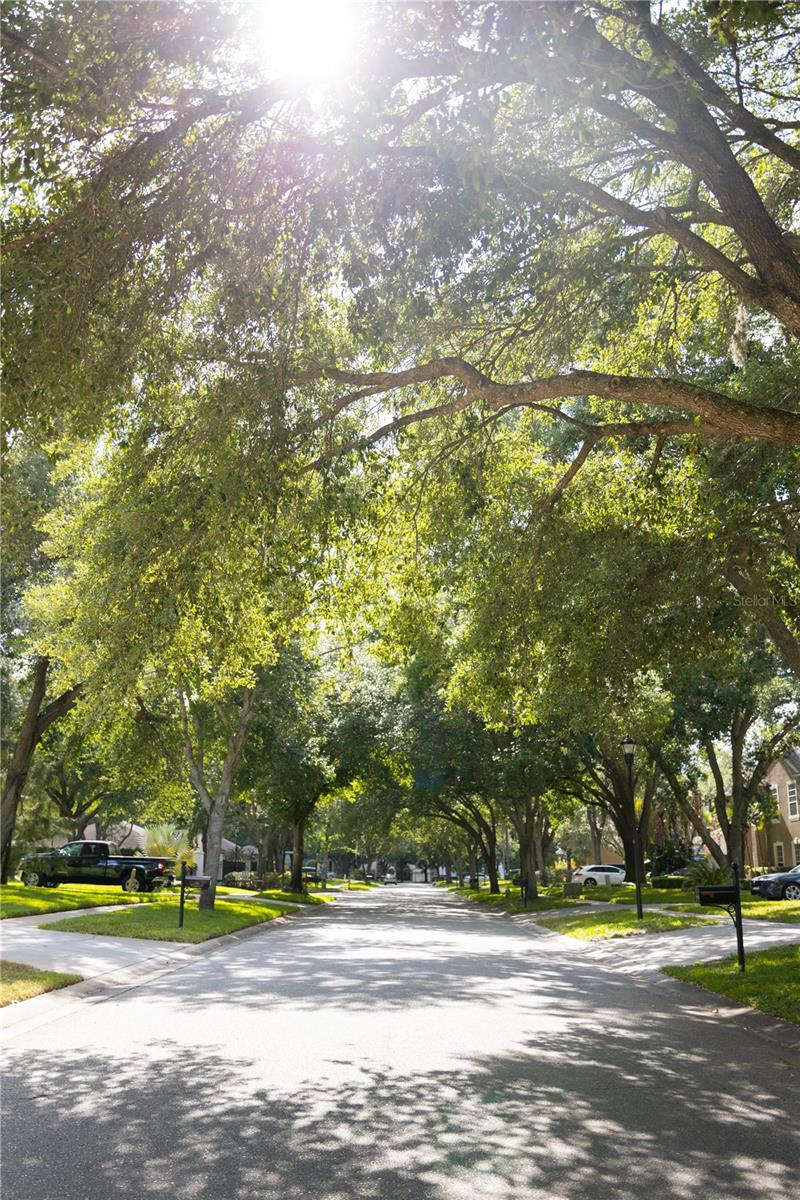 1511 MCCREA DR, LUTZ, FL, 33549