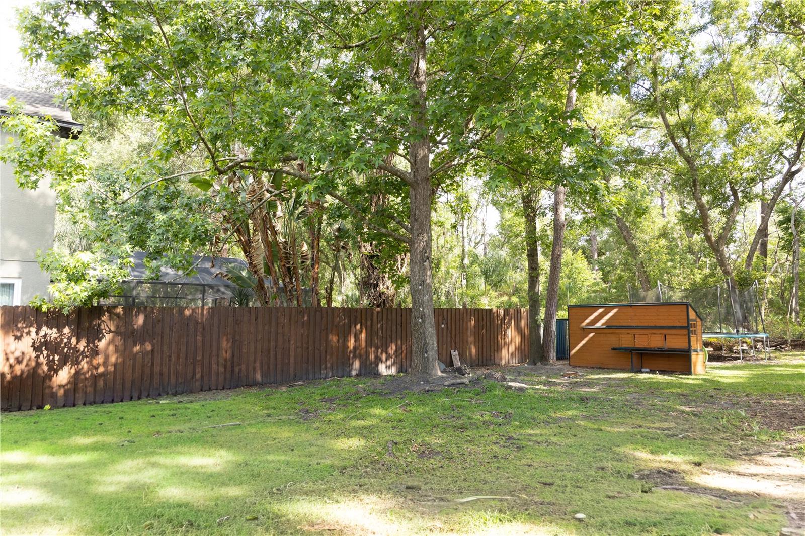 1511 MCCREA DR, LUTZ, FL, 33549