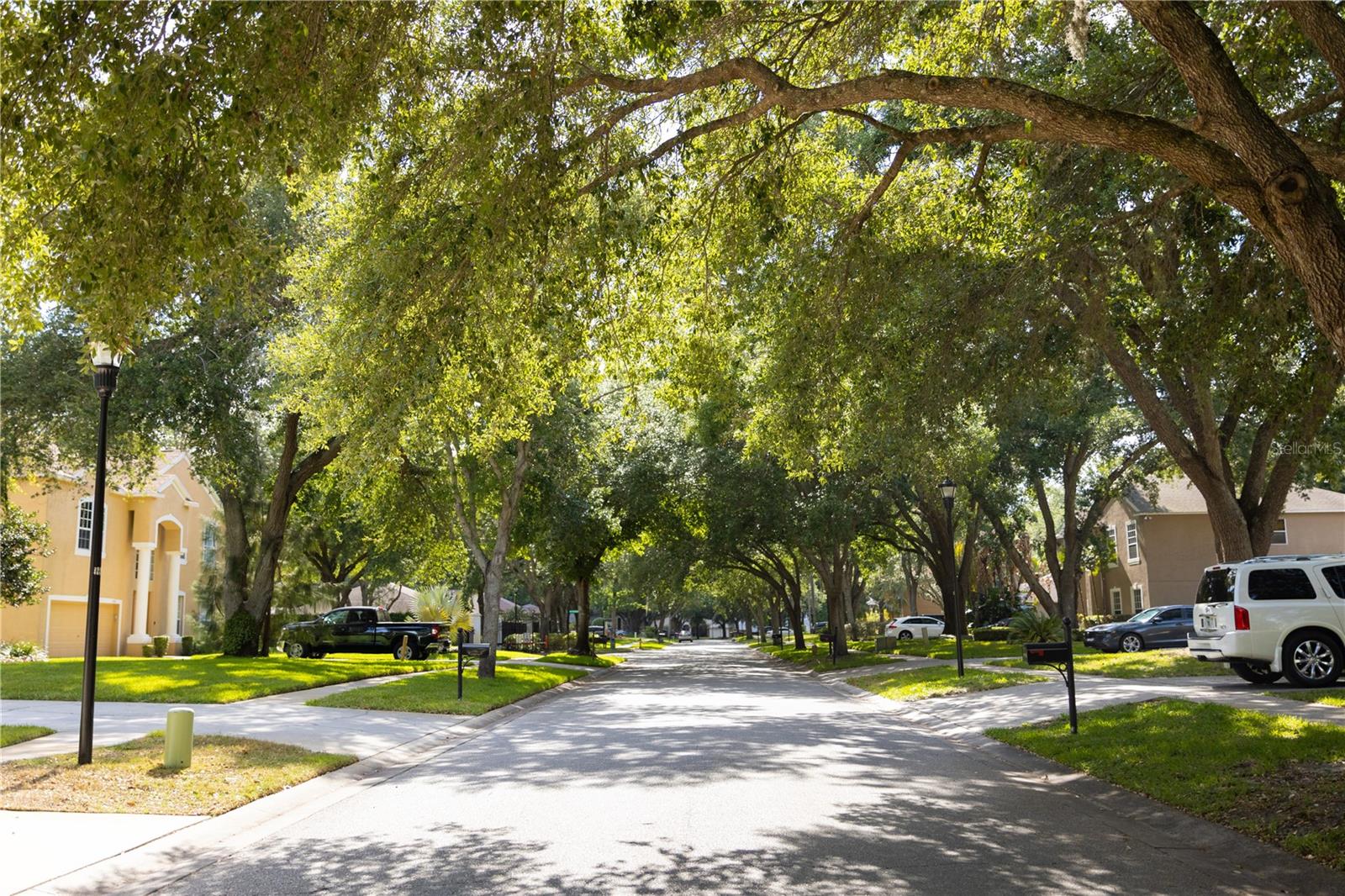 1511 MCCREA DR, LUTZ, FL, 33549