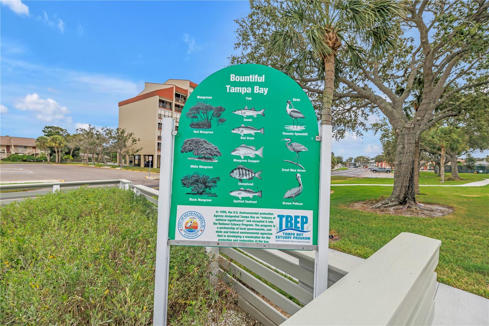 6960 SUNSET DR S #1B, SOUTH PASADENA, FL, 33707