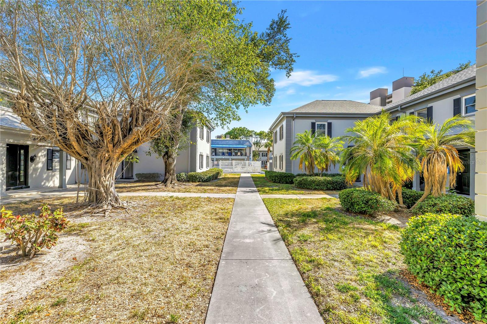 6960 SUNSET DR S #1B, SOUTH PASADENA, FL, 33707