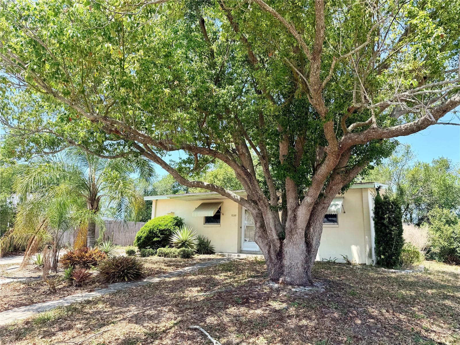 7055 MERRICK LN, SPRING HILL, FL, 34606