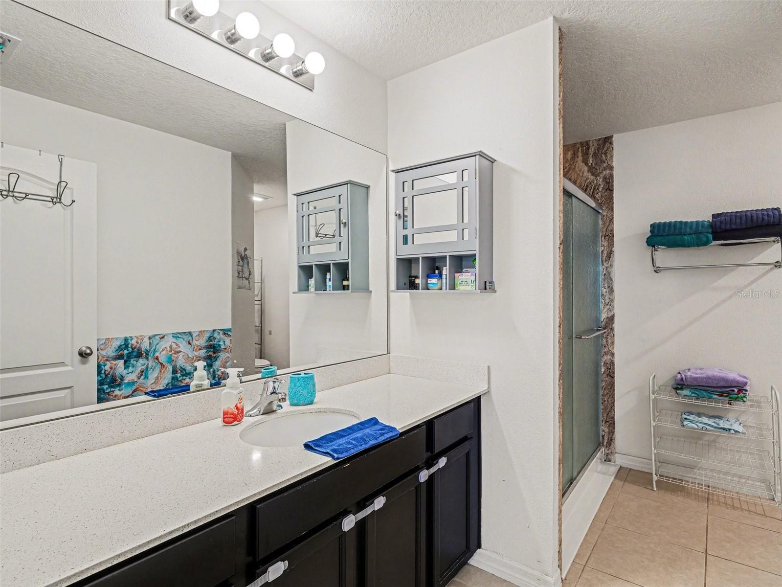 820 CHATHAM WALK DR, RUSKIN, FL, 33570