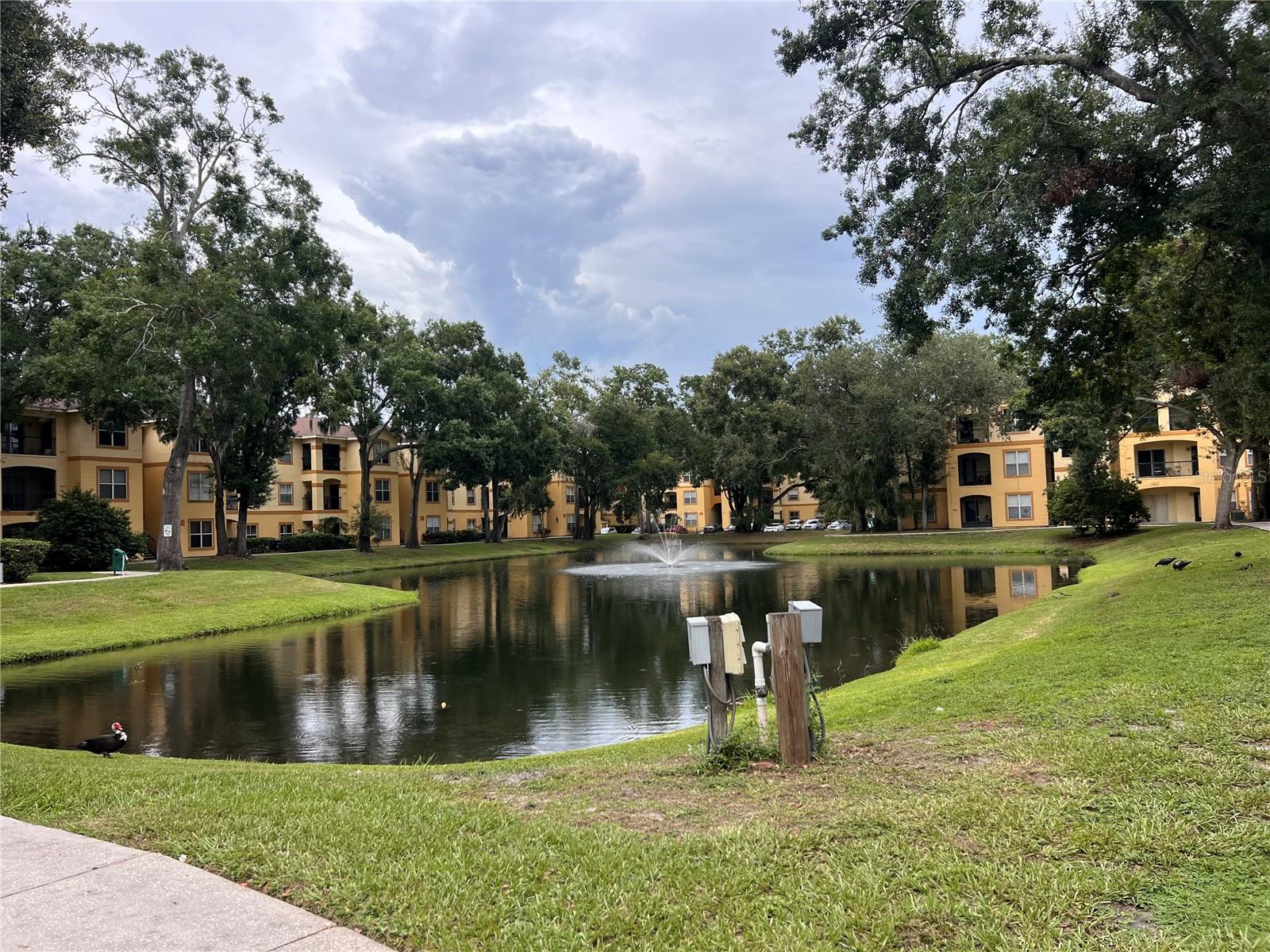 5620 PINNACLE HEIGHTS CIR #103, TAMPA, FL, 33624