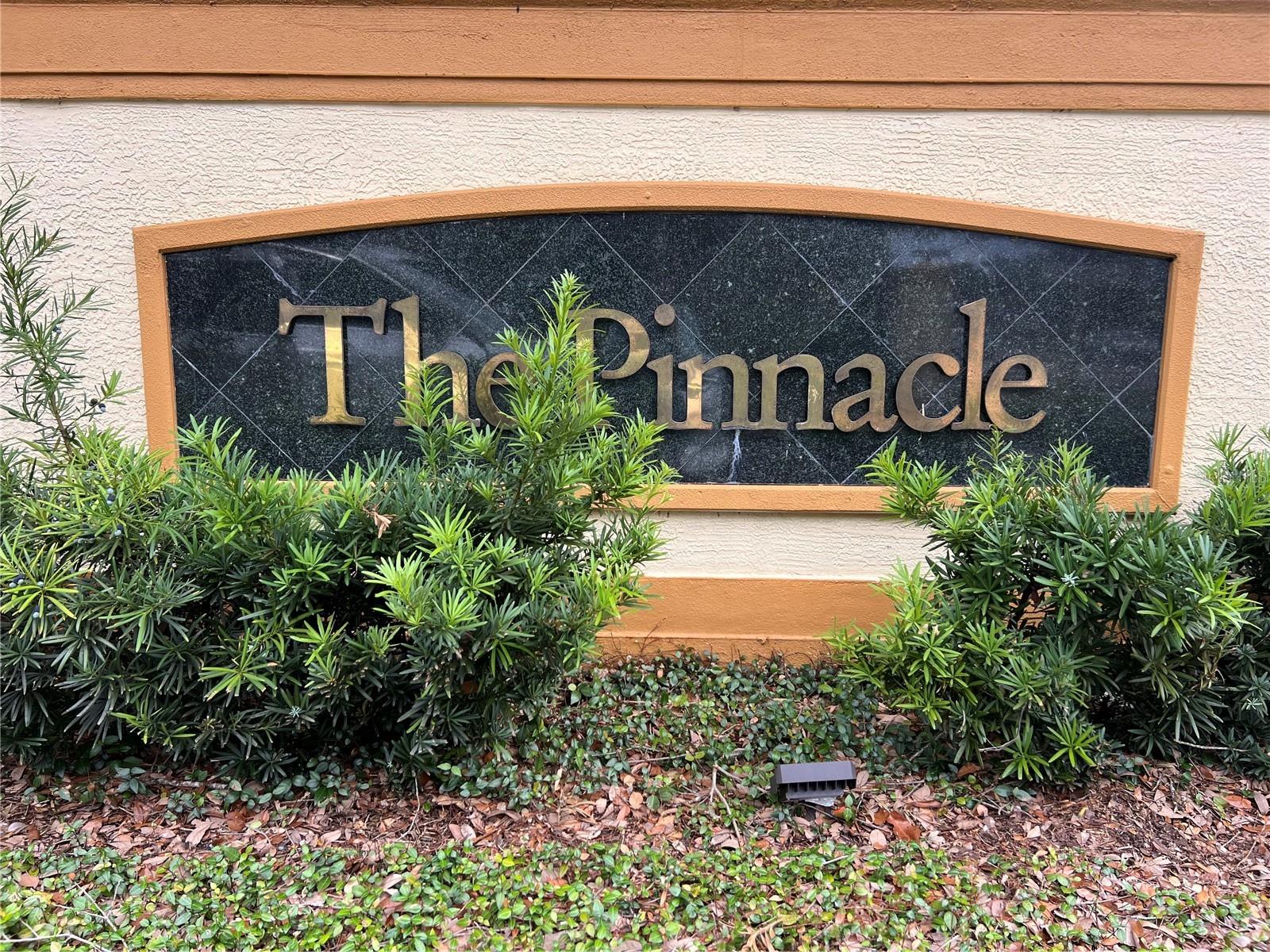 5620 PINNACLE HEIGHTS CIR #103, TAMPA, FL, 33624