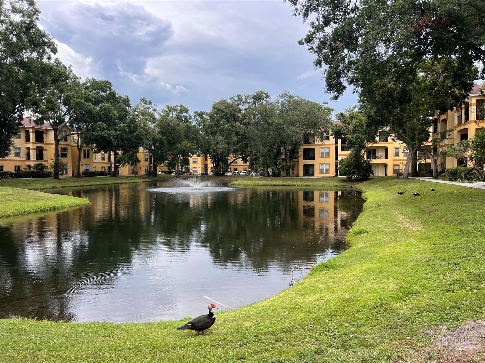 5620 PINNACLE HEIGHTS CIR #103, TAMPA, FL, 33624
