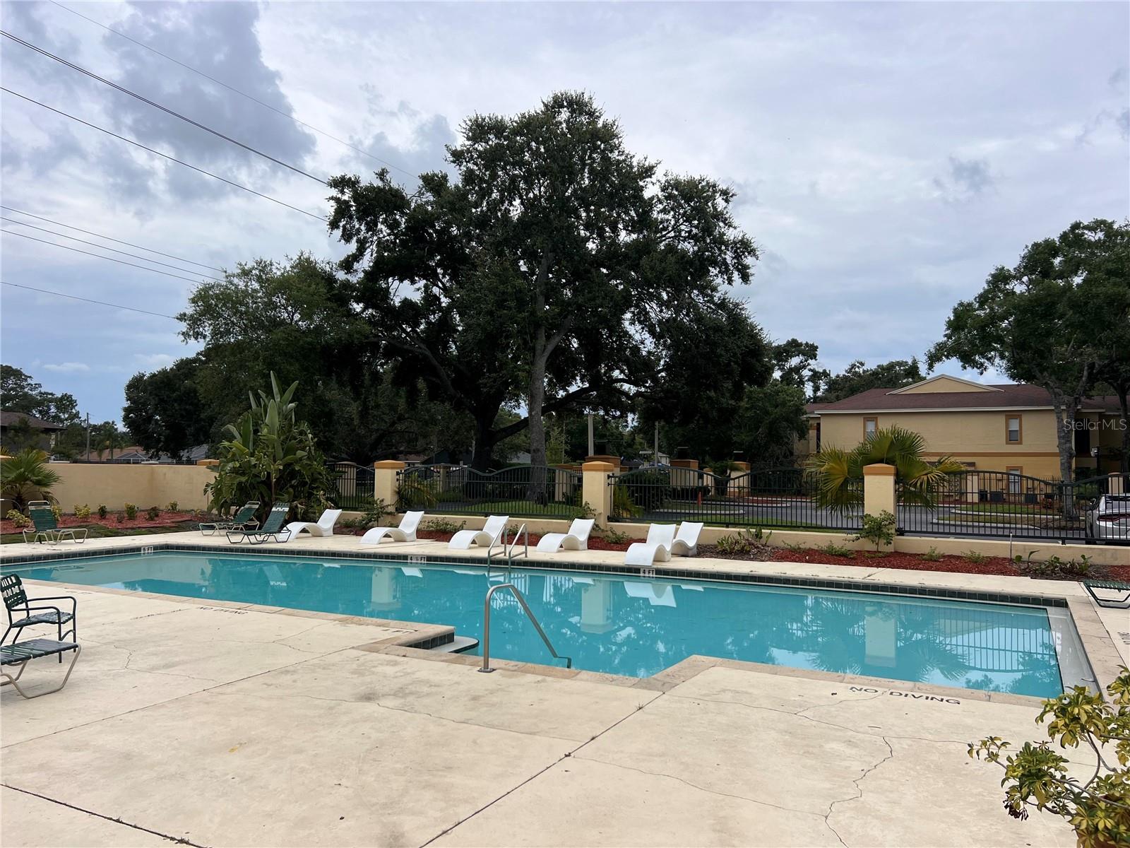 5620 PINNACLE HEIGHTS CIR #103, TAMPA, FL, 33624