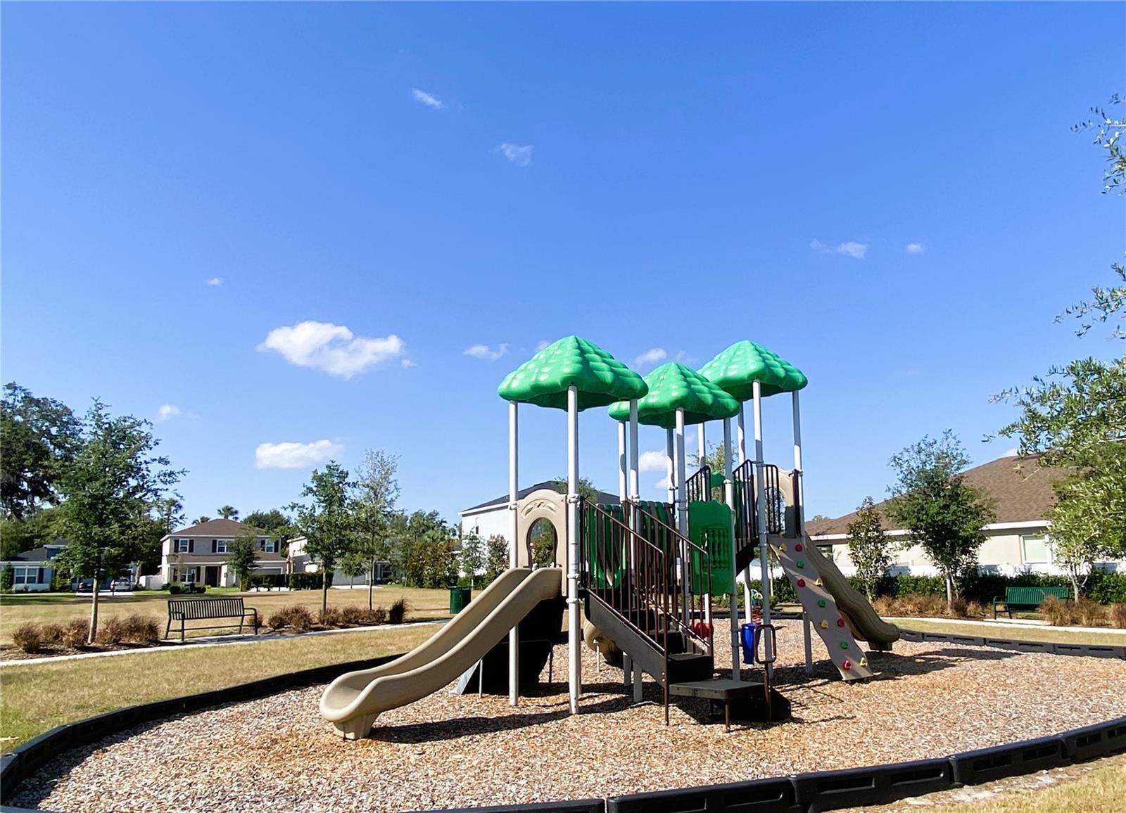 29832 CEDAR WAXWING DR, WESLEY CHAPEL, FL, 33545