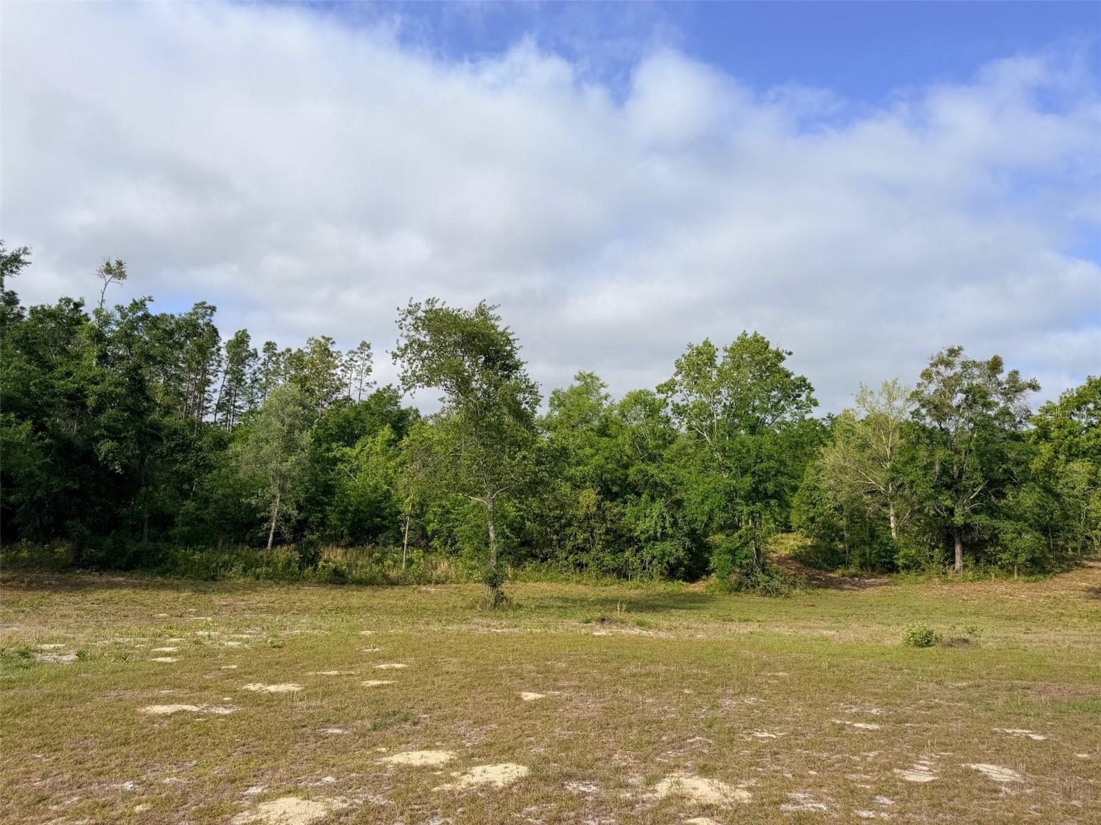 10730 198TH TER, O'BRIEN, FL, 32071