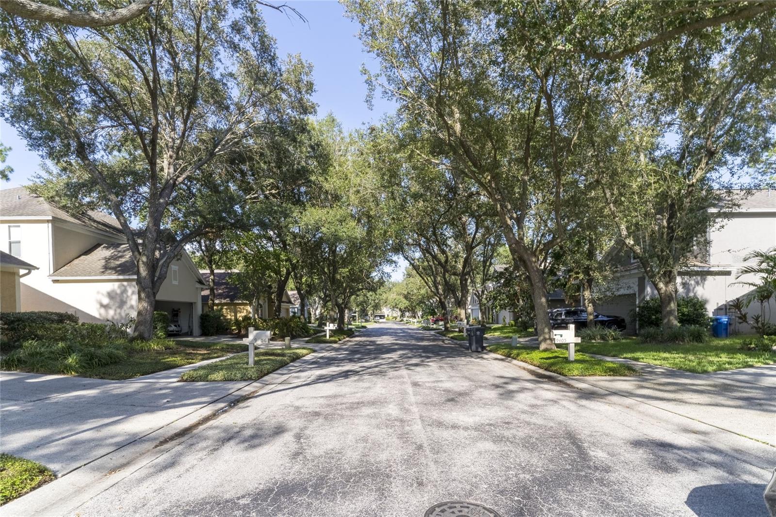 9406 OAK MEADOW CT, TAMPA, FL, 33647