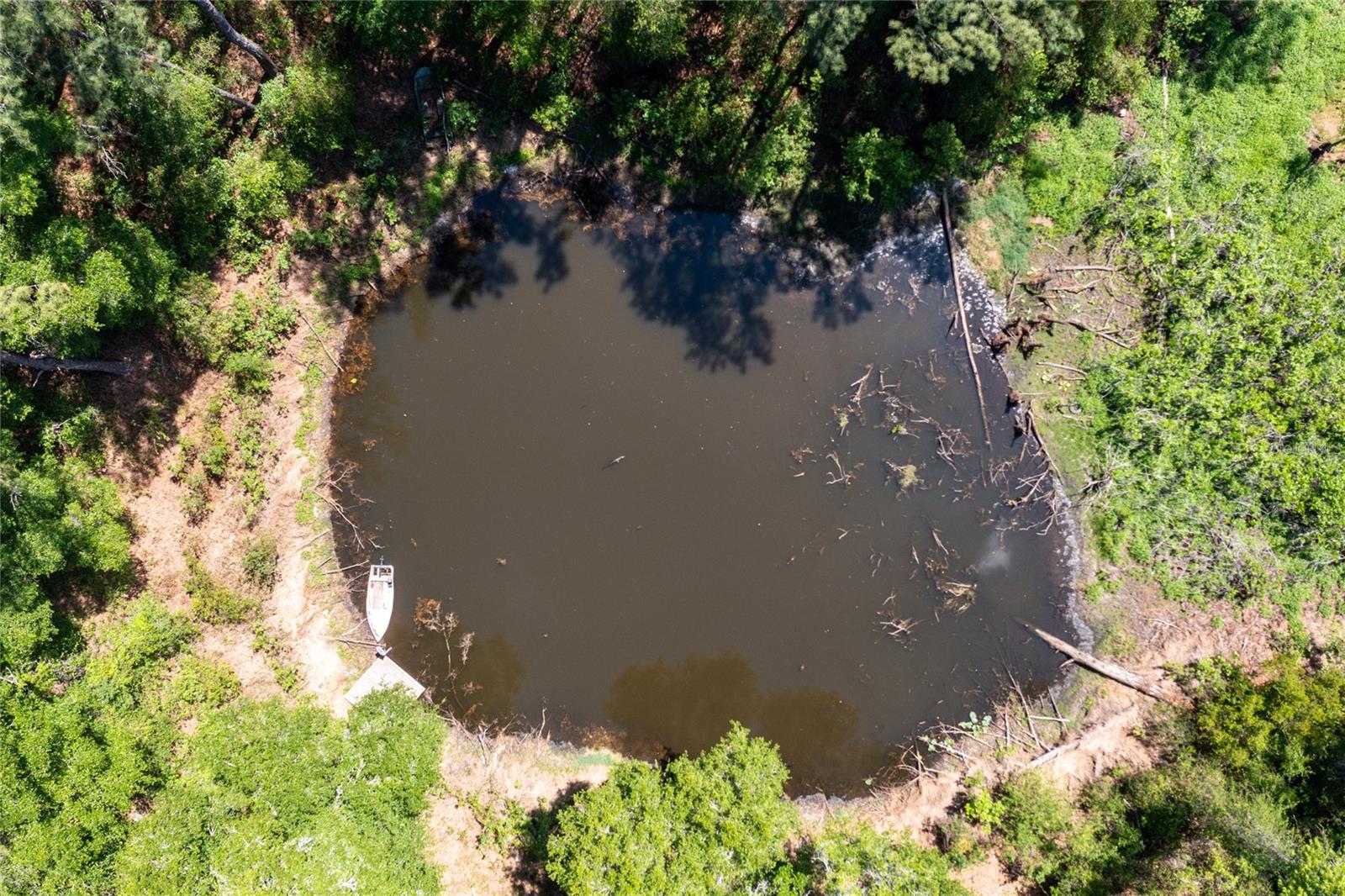 101 RAMSEY DR, MELROSE, FL, 32666