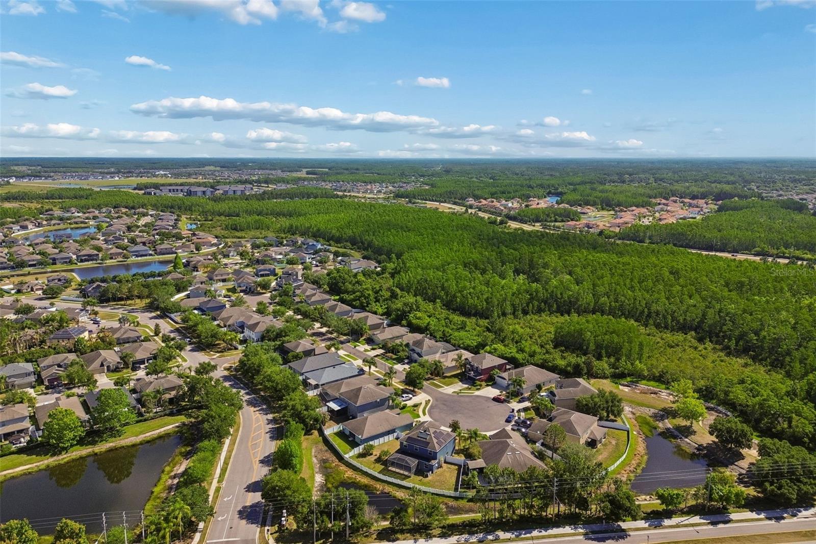 3453 MARMALADE CT, LAND O LAKES, FL, 34638