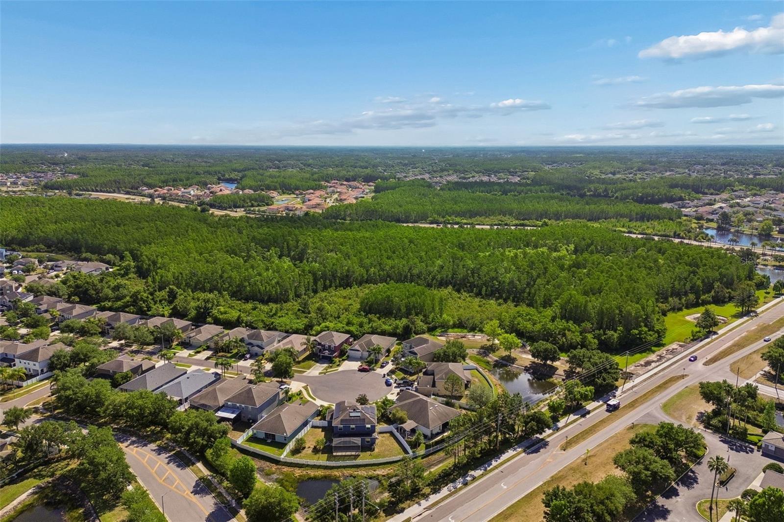 3453 MARMALADE CT, LAND O LAKES, FL, 34638