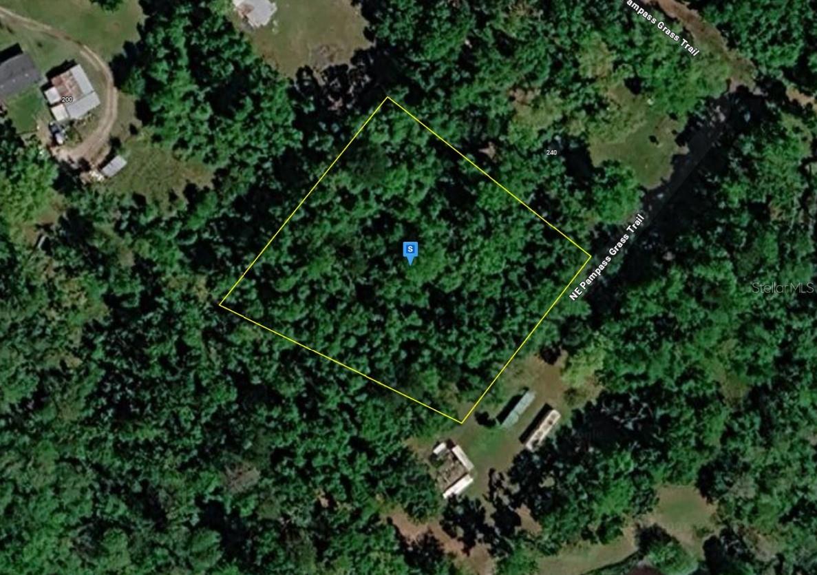 220 NE PAMPASS GRASS TRL, PINETTA, FL, 32350