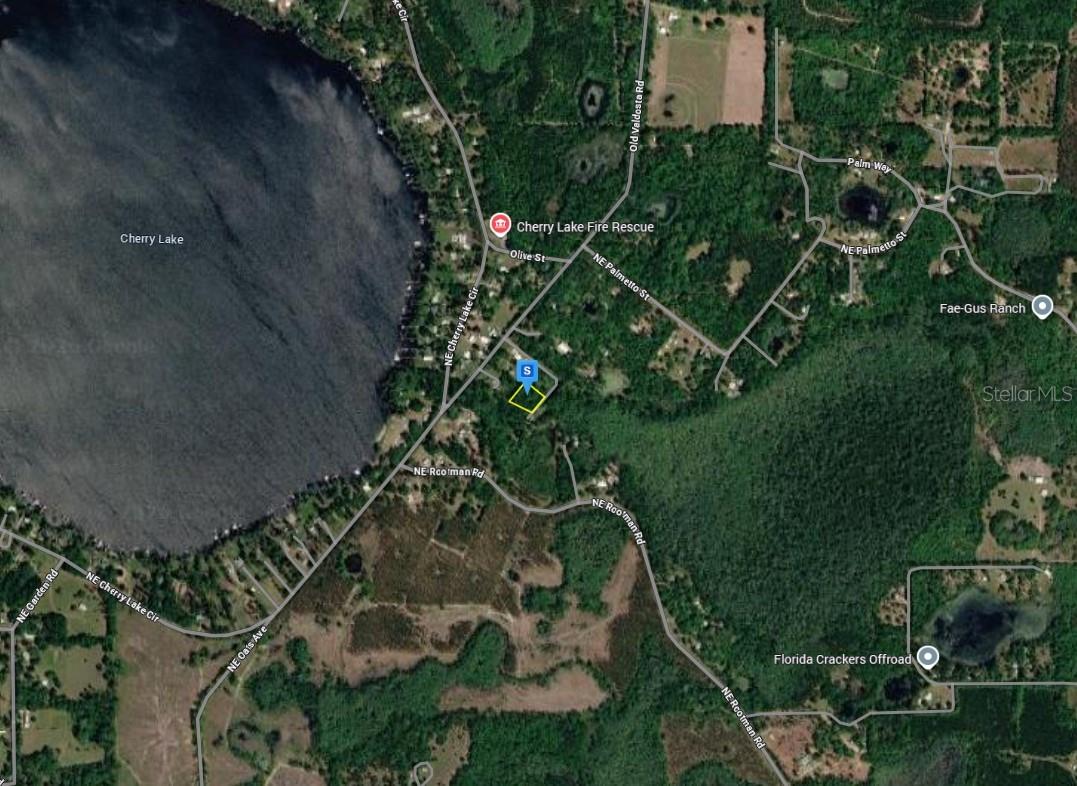 220 NE PAMPASS GRASS TRL, PINETTA, FL, 32350