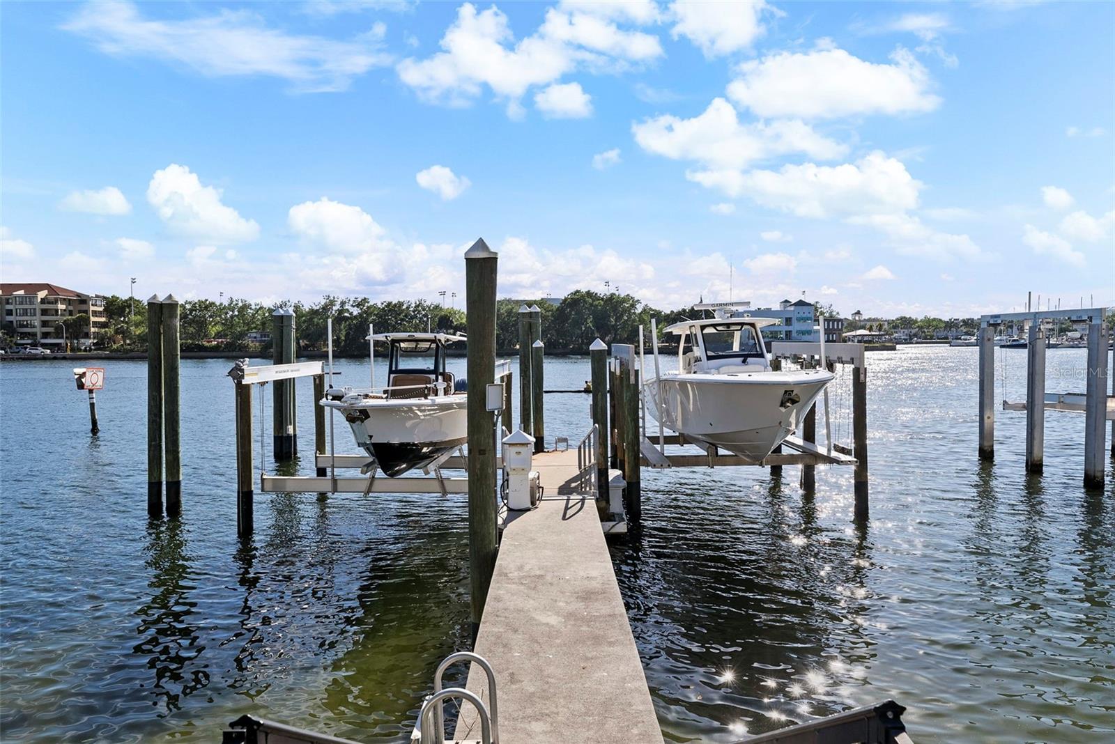 1123 ABBEYS WAY, TAMPA, FL, 33602