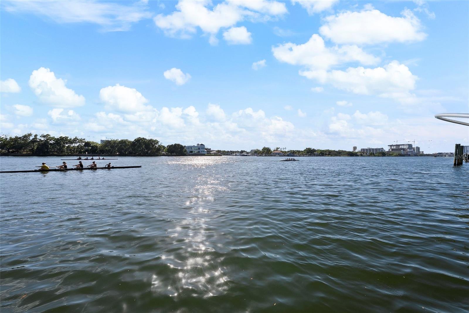 1123 ABBEYS WAY, TAMPA, FL, 33602