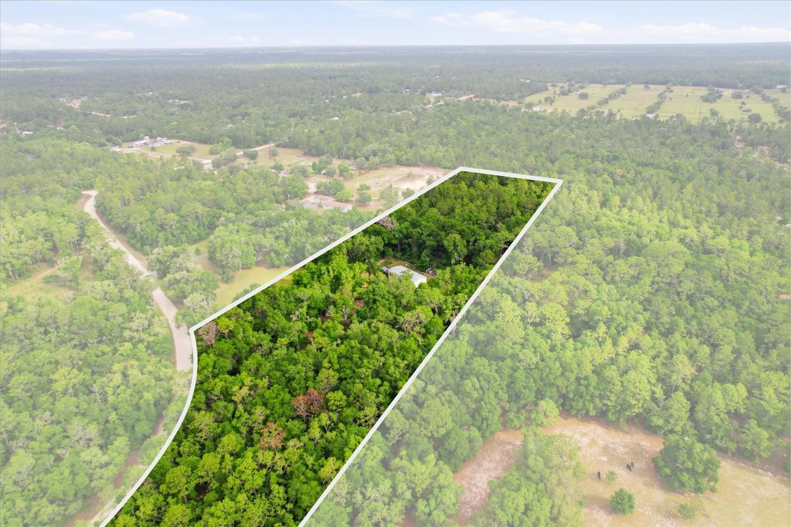 3883 SW 165TH AVENUE RD, OCALA, FL, 34481