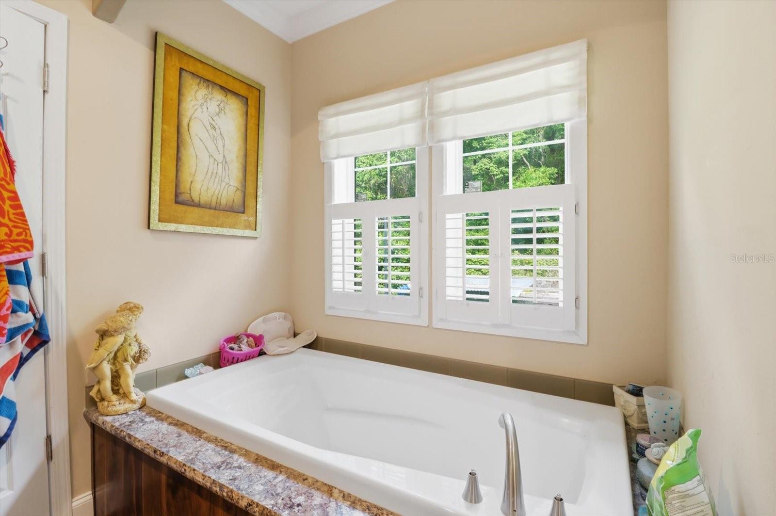 3883 SW 165TH AVENUE RD, OCALA, FL, 34481