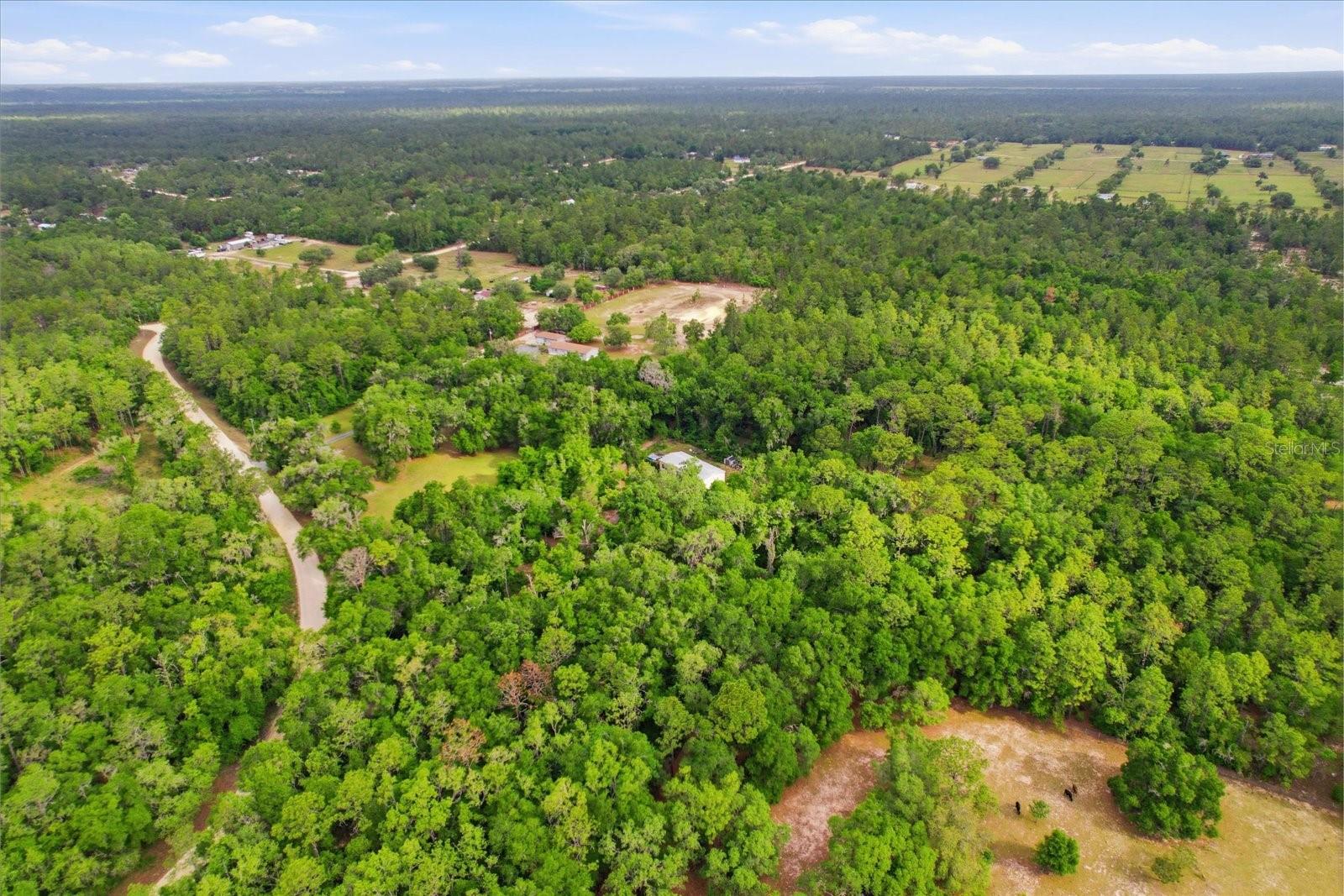 3883 SW 165TH AVENUE RD, OCALA, FL, 34481