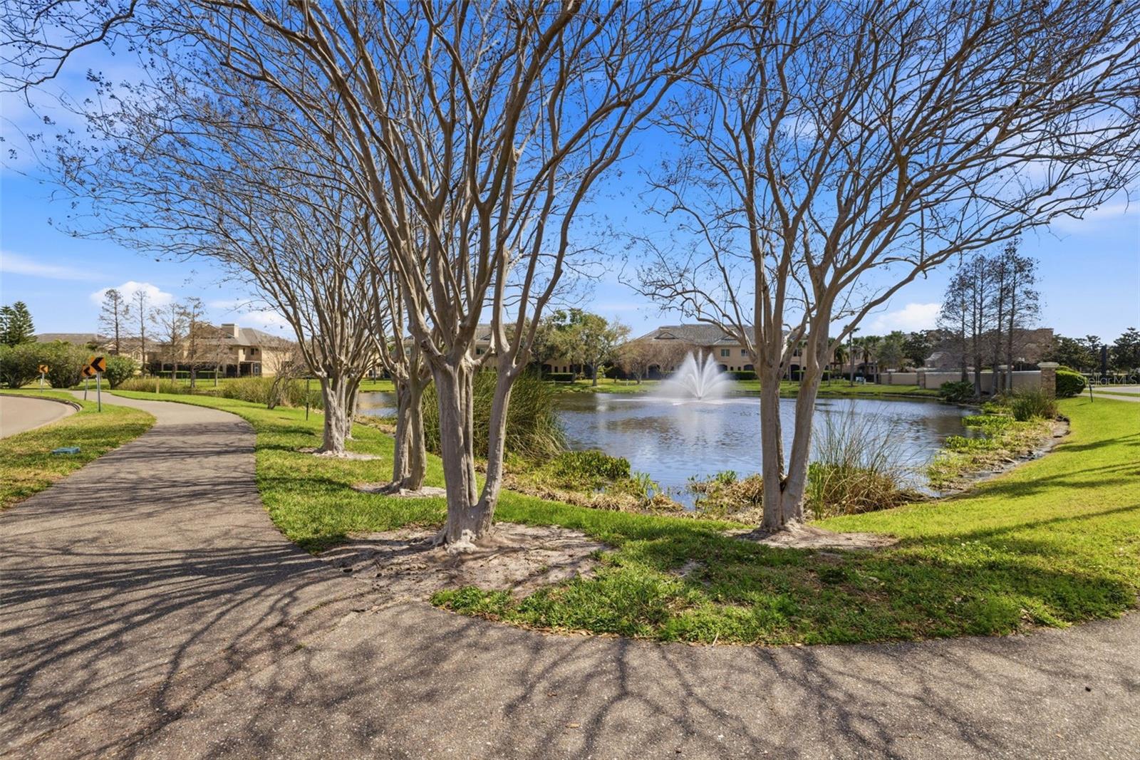 615 SAXONY BLVD, ST PETERSBURG, FL, 33701