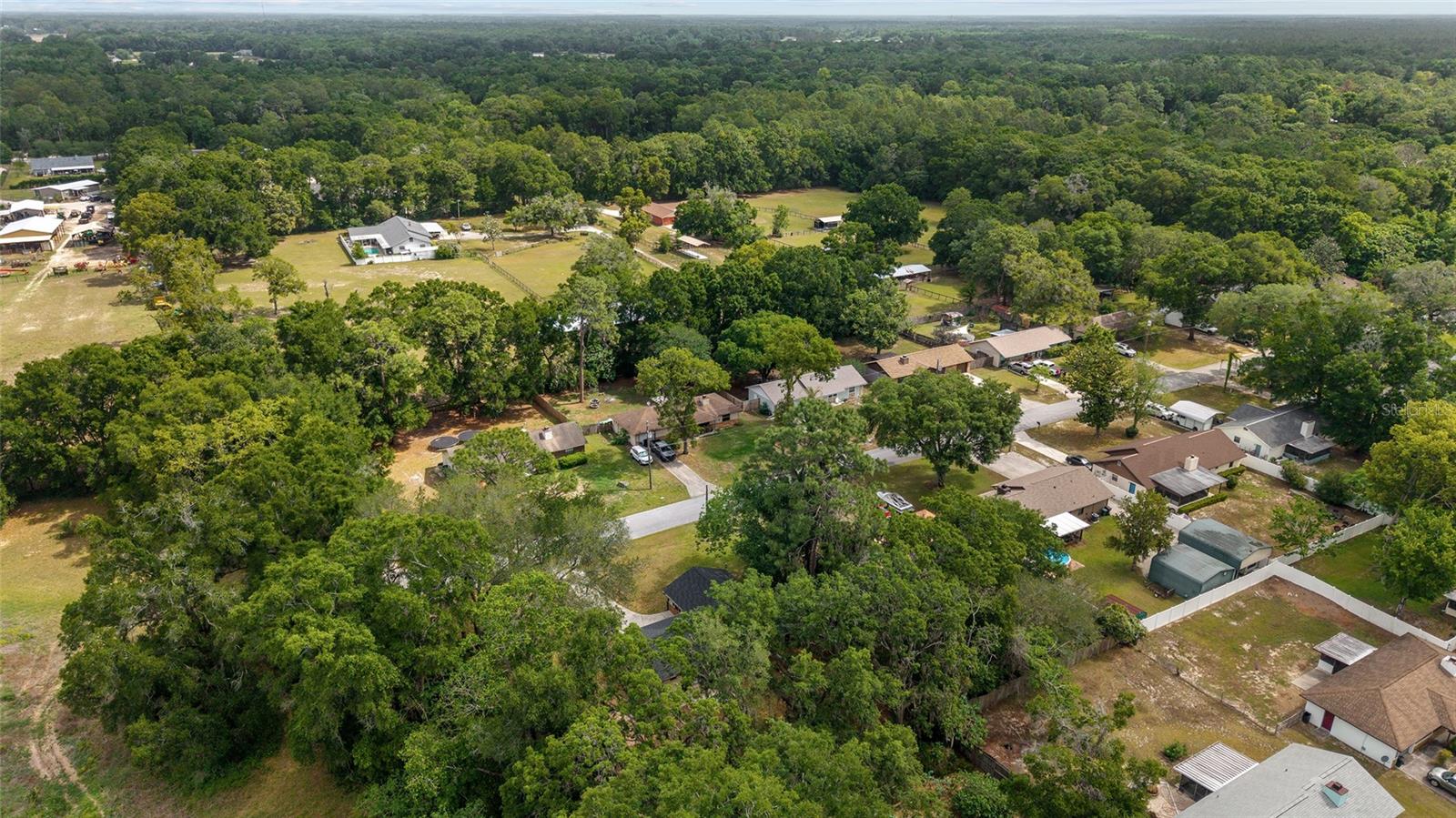 3060 NE 45TH ST, OCALA, FL, 34479
