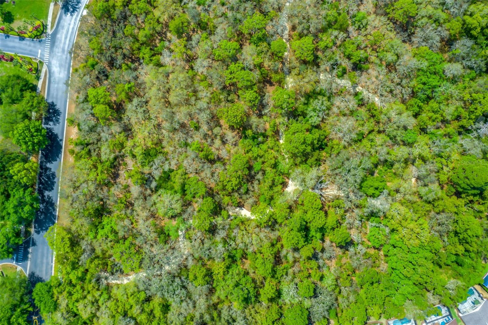 8550 SUNRISE KEY DR, KISSIMMEE, FL, 34747