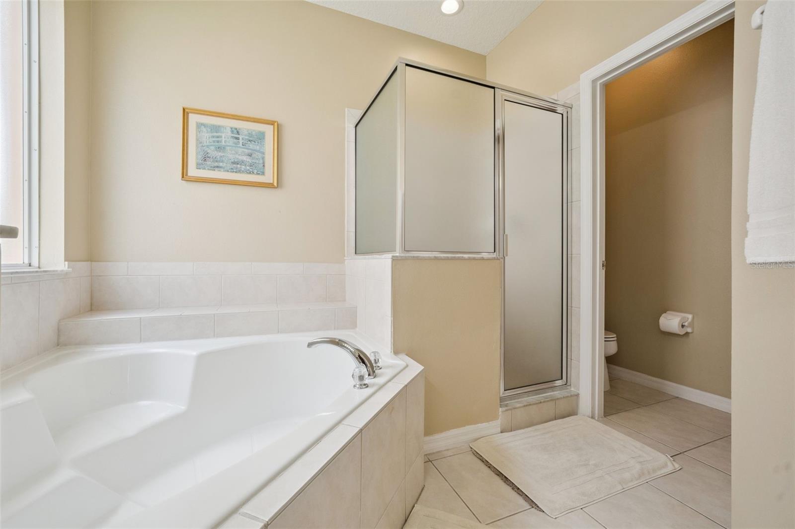 8550 SUNRISE KEY DR, KISSIMMEE, FL, 34747