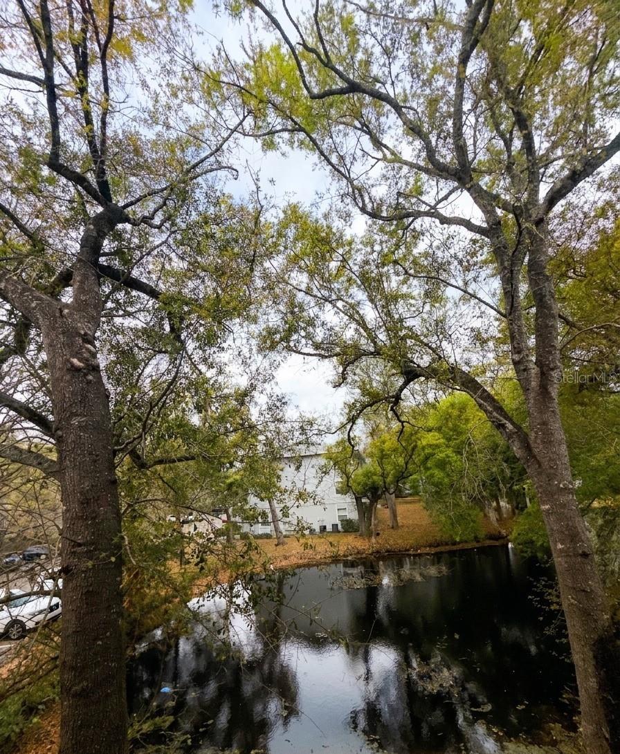 7143 E BANK DR #7143, TAMPA, FL, 33617