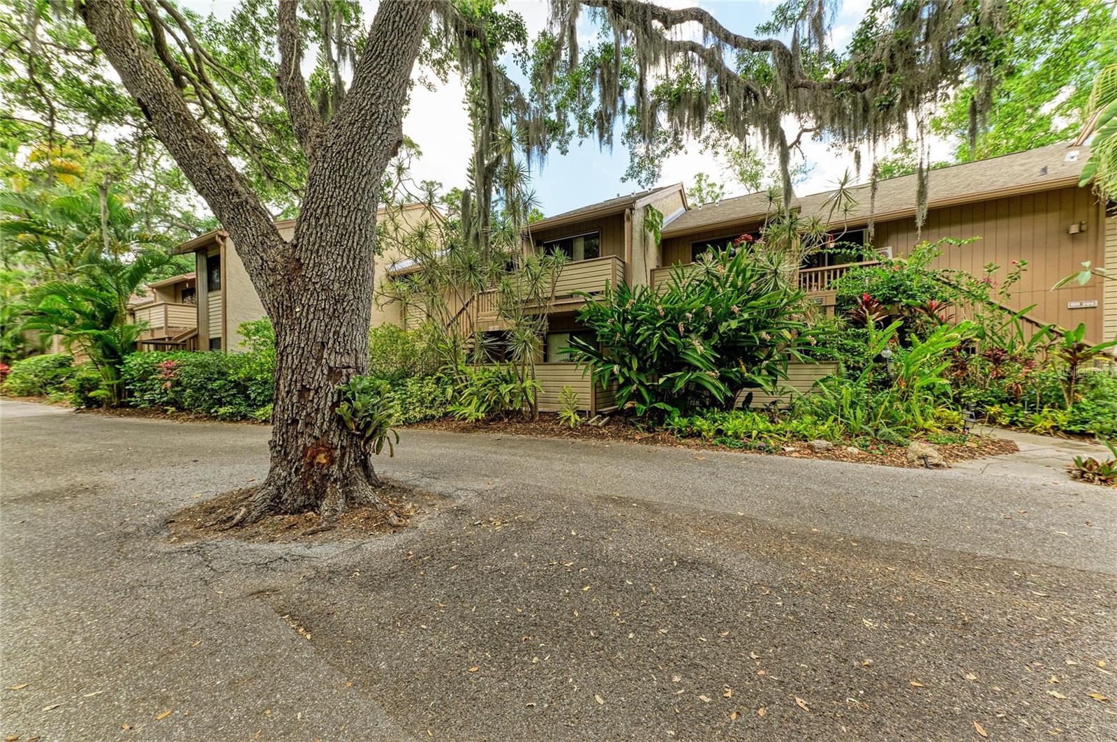1709 CLOWER CREEK DR #205, SARASOTA, FL, 34231