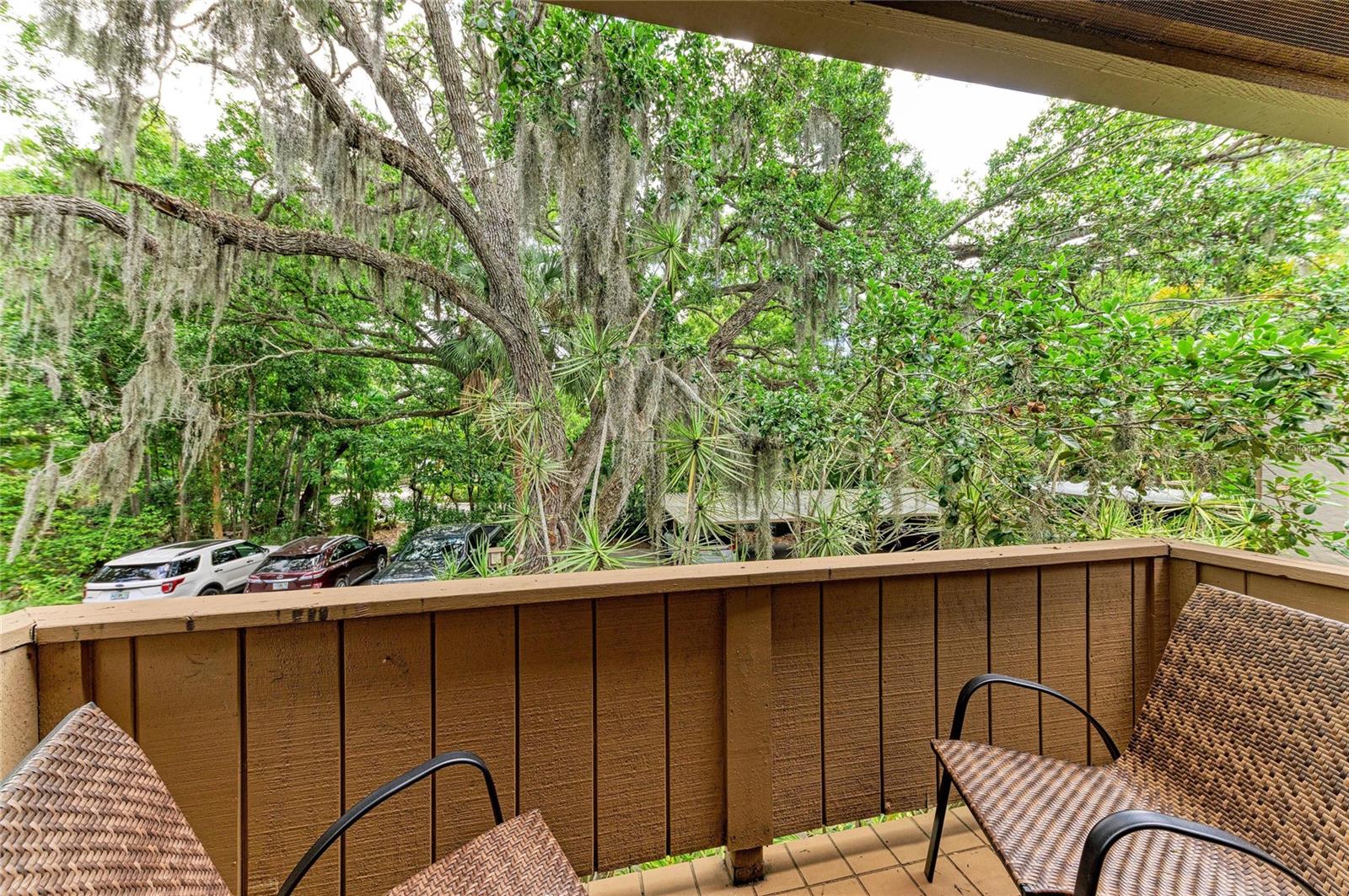 1709 CLOWER CREEK DR #205, SARASOTA, FL, 34231