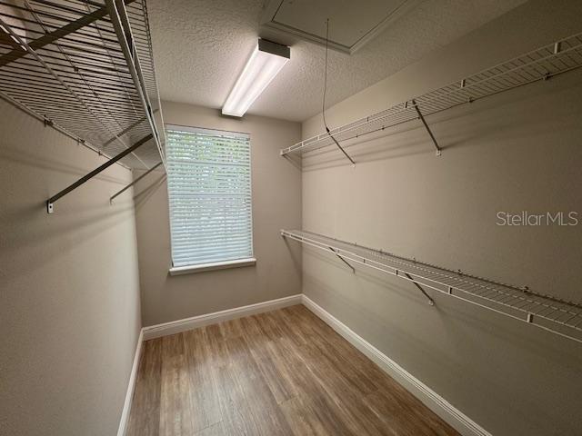 704 HONEYSUCKLE AVE, CELEBRATION, FL, 34747