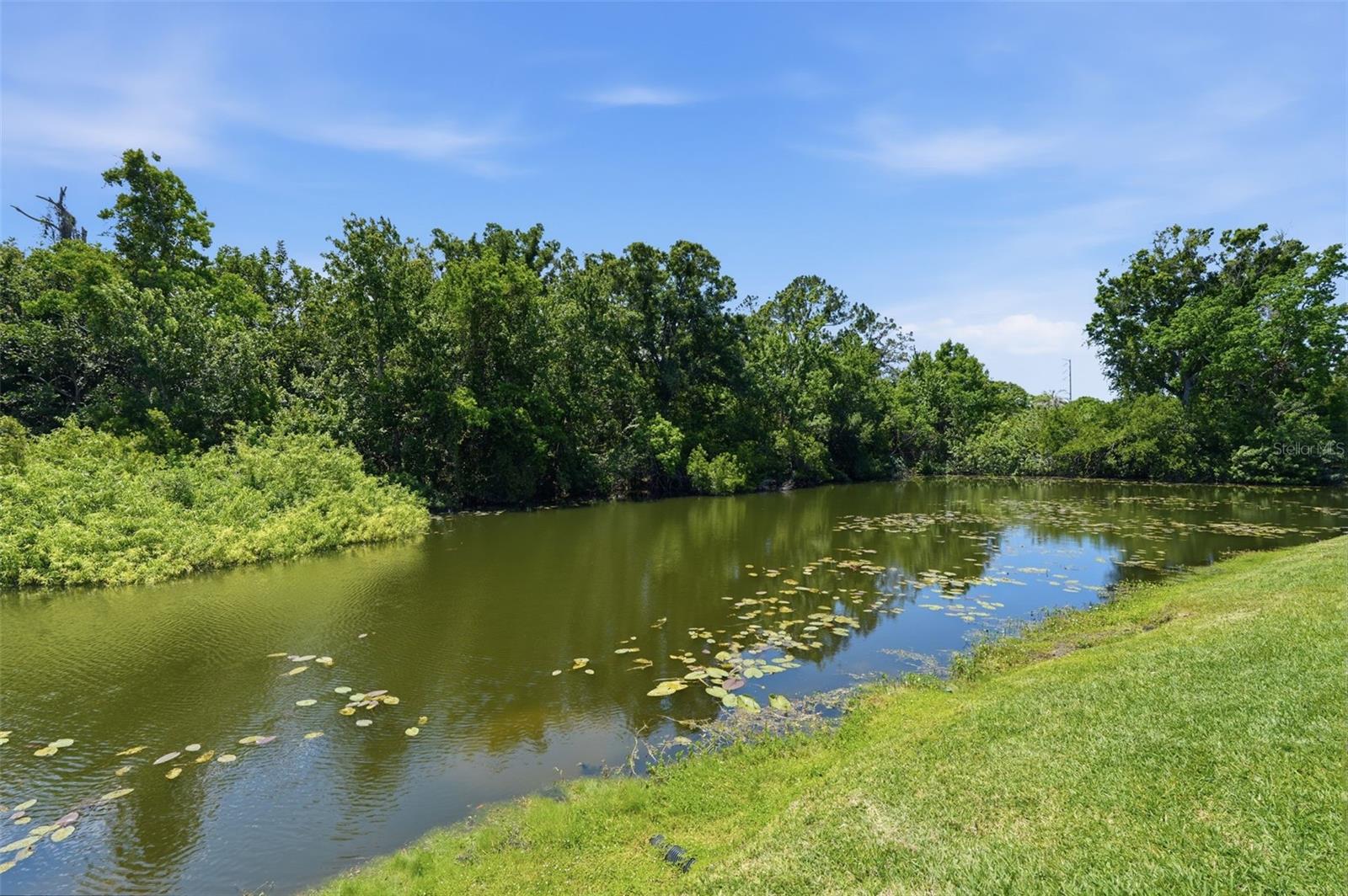 2067 HUNTERS GLEN DR #339, DUNEDIN, FL, 34698