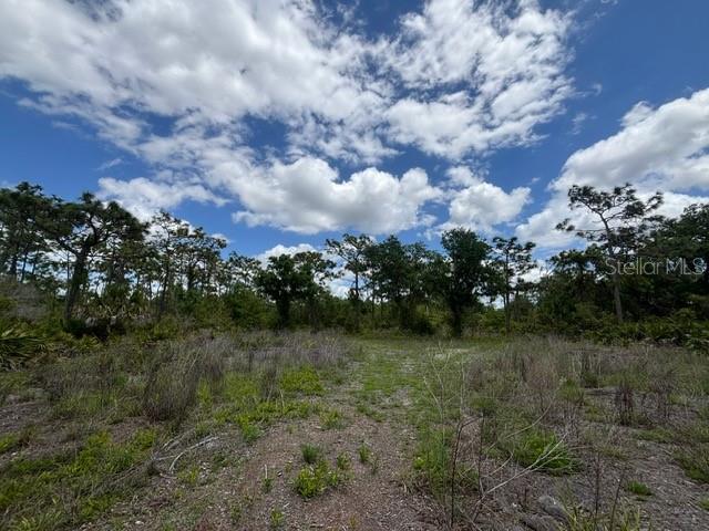 29305 HAZELWOOD DR, PUNTA GORDA, FL, 33982