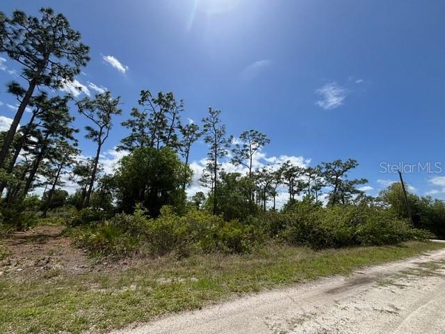 29305 HAZELWOOD DR, PUNTA GORDA, FL, 33982