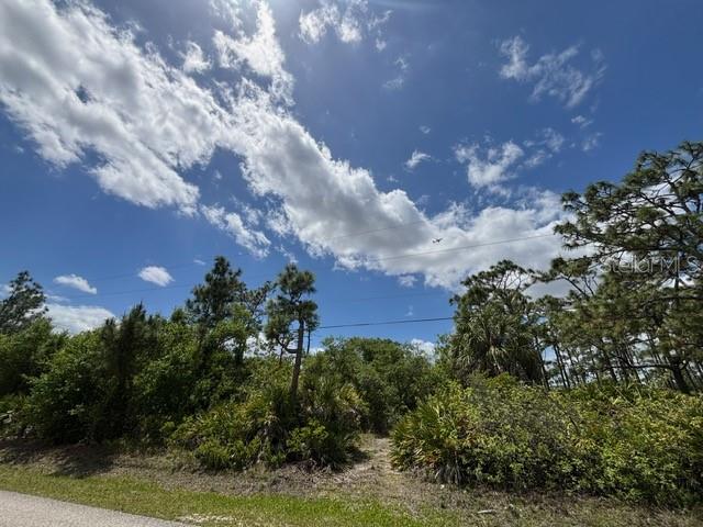 29305 HAZELWOOD DR, PUNTA GORDA, FL, 33982