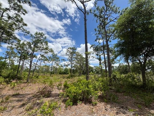 29305 HAZELWOOD DR, PUNTA GORDA, FL, 33982
