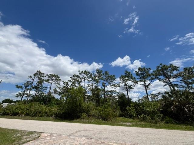 29305 HAZELWOOD DR, PUNTA GORDA, FL, 33982